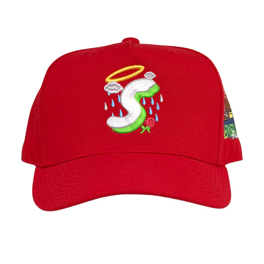 SBSD Seattle cap (Tomato red)